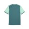 PUMA teamLIGA26 Matchday Trikot Grün F43 - gruen