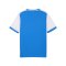PUMA teamLIGA26 Matchday Trikot Kids Blau F02 - blau