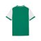 PUMA teamLIGA26 Matchday Trikot Kids Grün F05 - gruen