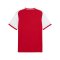 PUMA teamLIGA26 Matchday Trikot Rot F01 - rot
