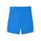 PUMA teamLIGA26 Short Blau F02 - blau
