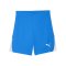 PUMA teamLIGA26 Short Blau F02 - blau