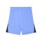 PUMA teamLIGA26 Short Blau F31 - blau