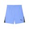 PUMA teamLIGA26 Short Blau F31 - blau