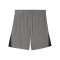 PUMA teamLIGA26 Short Grau F13 - grau