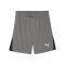 PUMA teamLIGA26 Short Grau F13 - grau