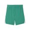 PUMA teamLIGA26 Short Grün F05 - gruen