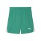PUMA teamLIGA26 Short Grün F05 - gruen