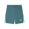 PUMA teamLIGA26 Short Grün F43 - gruen