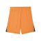 PUMA teamLIGA26 Short Orange F08 - orange