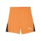 PUMA teamLIGA26 Short Orange F08 - orange