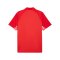 PUMA teamLIGA26 Sideline Polo Rot F01 - rot