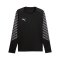 PUMA teamLIGA26 Torwarttrikot Langarm Schwarz F03 - schwarz