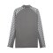 PUMA teamLIGA26 Training 1/4 Zip Top Grau F13 - grau