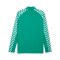 PUMA teamLIGA26 Training 1/4 Zip Top Grün F05 - gruen
