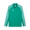 PUMA teamLIGA26 Training 1/4 Zip Top Grün F05 - gruen