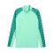 PUMA teamLIGA26 Training 1/4 Zip Top Grün F80 - gruen
