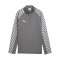 PUMA teamLIGA26 Training 1/4 Zip Top Kids Grau F13 - grau