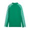 PUMA teamLIGA26 Training 1/4 Zip Top Kids Grün F05 - gruen
