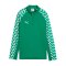 PUMA teamLIGA26 Training 1/4 Zip Top Kids Grün F05 - gruen
