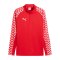 PUMA teamLIGA26 Training 1/4 Zip Top Rot F01 - rot