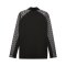 PUMA teamLIGA26 Training 1/4 Zip Top Schwarz F03 - schwarz