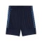 PUMA teamLIGA26 Training Short Blau F06 - blau