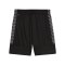 PUMA teamLIGA26 Training Short Schwarz F03 - schwarz