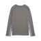 PUMA teamLIGA26 Training Sweatshirt Kids Grau F13 - grau