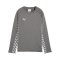 PUMA teamLIGA26 Training Sweatshirt Kids Grau F13 - grau