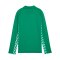 PUMA teamLIGA26 Trainingsjacke Kids Grün F05 - gruen