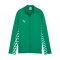 PUMA teamLIGA26 Trainingsjacke Kids Grün F05 - gruen