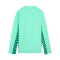 PUMA teamLIGA26 Trainingsjacke Kids Grün F80 - gruen