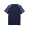 PUMA teamLIGA26 Trikot Blau F06 - blau