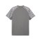 PUMA teamLIGA26 Trikot Grau F13 - grau