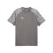 PUMA teamLIGA26 Trikot Grau F13 - grau