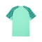 PUMA teamLIGA26 Trikot Grün F80 - gruen