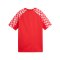 PUMA teamLIGA26 Trikot Kids Rot F01 - rot
