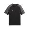 PUMA teamLIGA26 Trikot Kids Schwarz F03 - schwarz