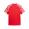 PUMA teamLIGA26 Trikot Rot F01 - rot