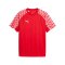 PUMA teamLIGA26 Trikot Rot F01 - rot