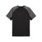 PUMA teamLIGA26 Trikot Schwarz F03 - schwarz