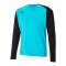 PUMA teamPACER Torwarttrikot langarm Blau F40 - blau