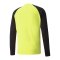 PUMA teamPACER Torwarttrikot langarm Gelb F42 - gelb