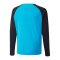PUMA teamPACER Torwarttrikot langarm Kids F40 - blau
