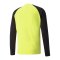 PUMA teamPACER Torwarttrikot langarm Kids F42 - gelb