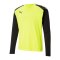 PUMA teamPACER Torwarttrikot langarm Kids F42 - gelb