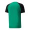 PUMA teamPacer Trikot Grün F05 - gruen