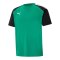 PUMA teamPacer Trikot Grün F05 - gruen