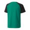 PUMA teamPACER Trikot Kids Grün Schwarz F05 - gruen